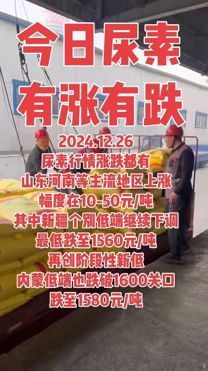 今日尿素有涨有跌，2024新农人计划今日尿素有涨有跌。尿素行情涨跌都有，山东、河