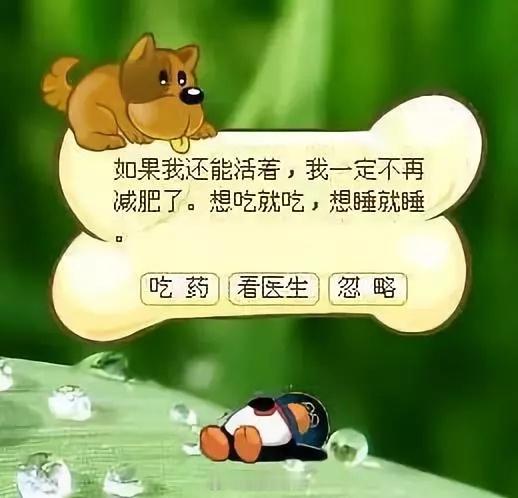 腾讯全新QQ宠物上线 来说说，你养过q宠吗？QQ宠物是8090后青春啊，承载了当