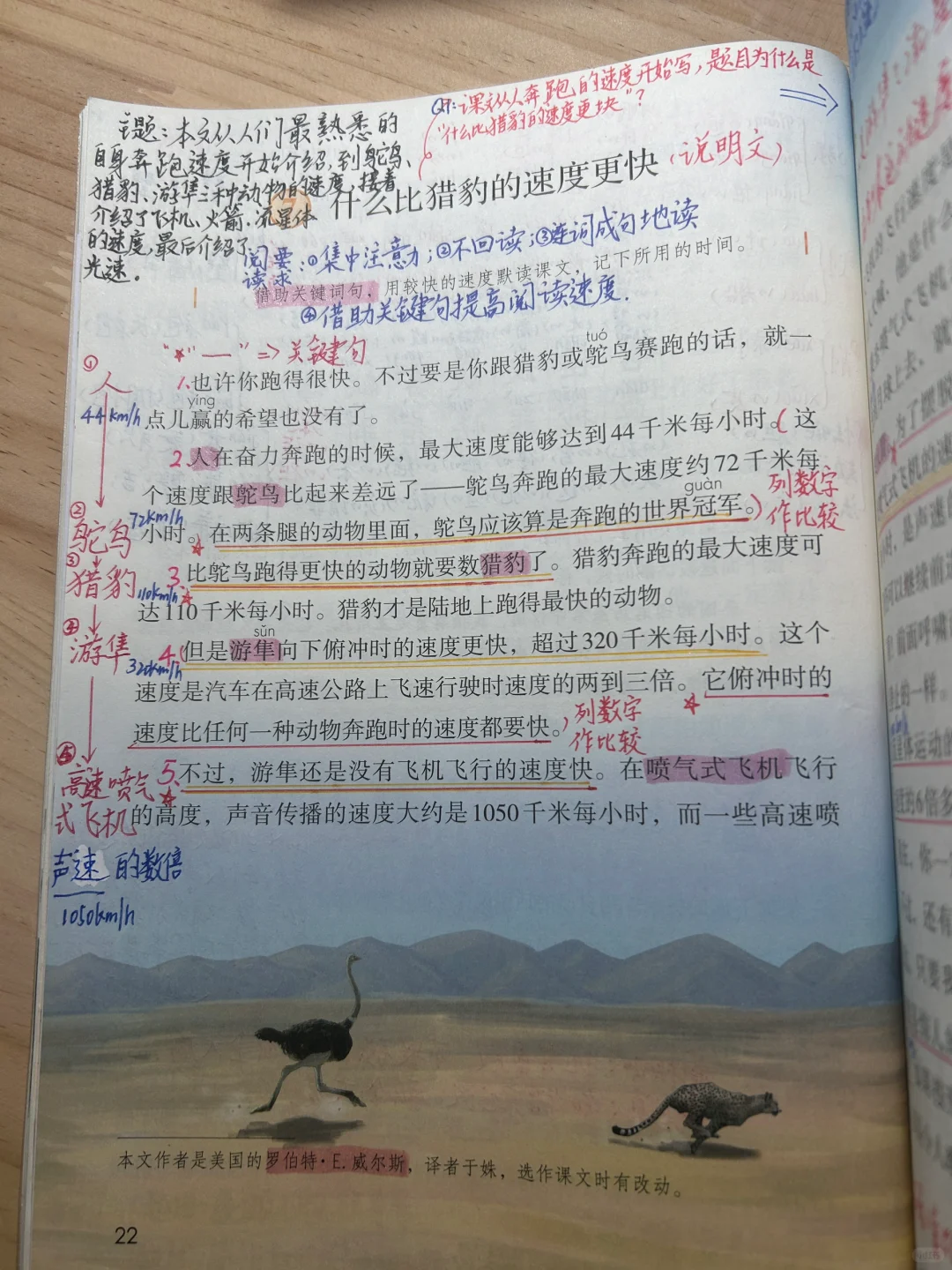 五上语文备课7《什么比猎豹的速度更快》