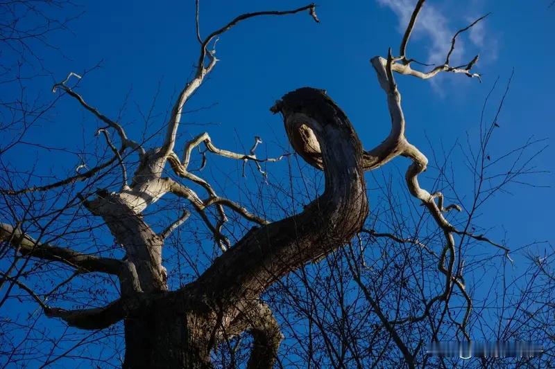 于适高举国旗策马奔腾有多圈粉 2025全国骑射巡回赛总决赛开幕式上，于适骑马擎旗