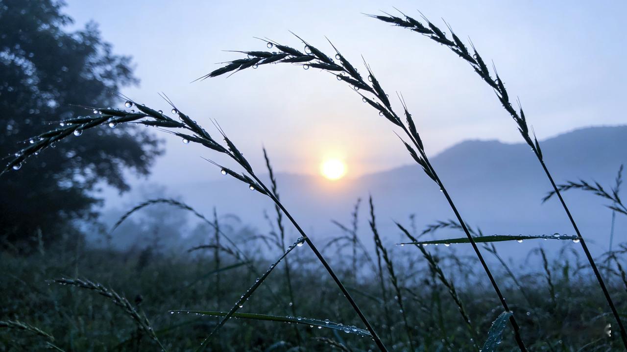 天南地北大拜年只要有心，大自然美景随处可见，可以涤荡人的心灵。