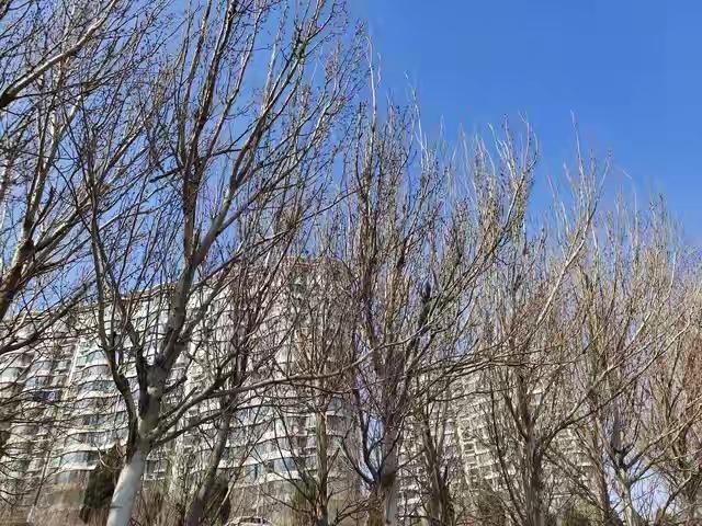 你如何看多地出现“三九暖如春”现象
当“三九暖如春”的消息开始在朋友圈、新闻头条