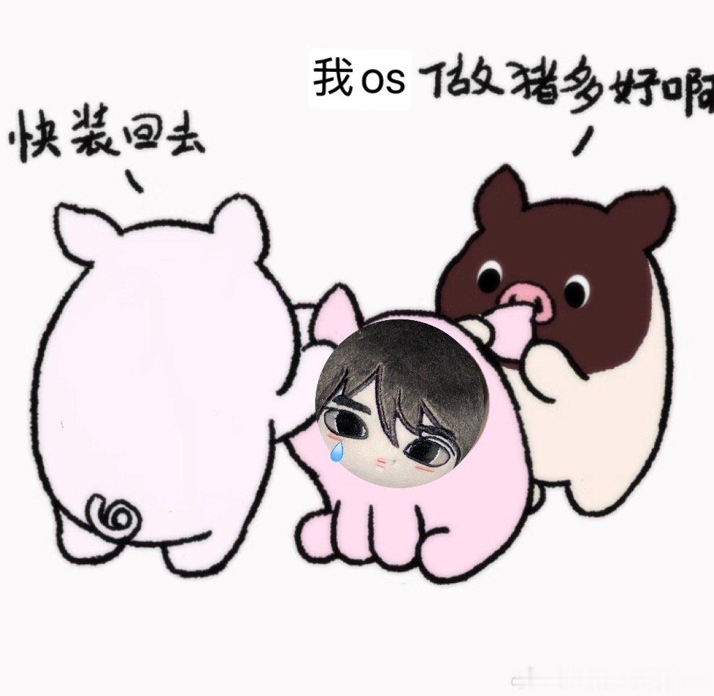 小凑猪 