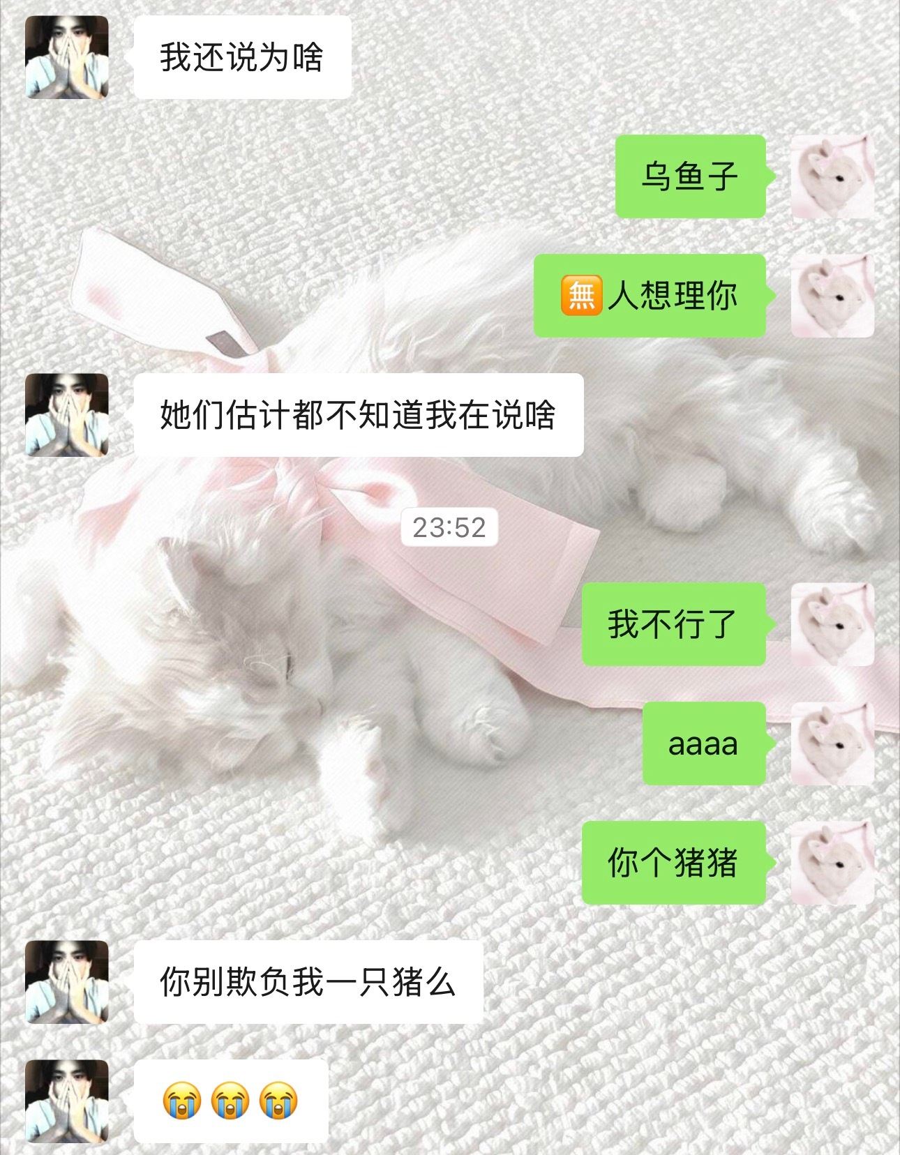 我无语了么 这只笨笨猪 