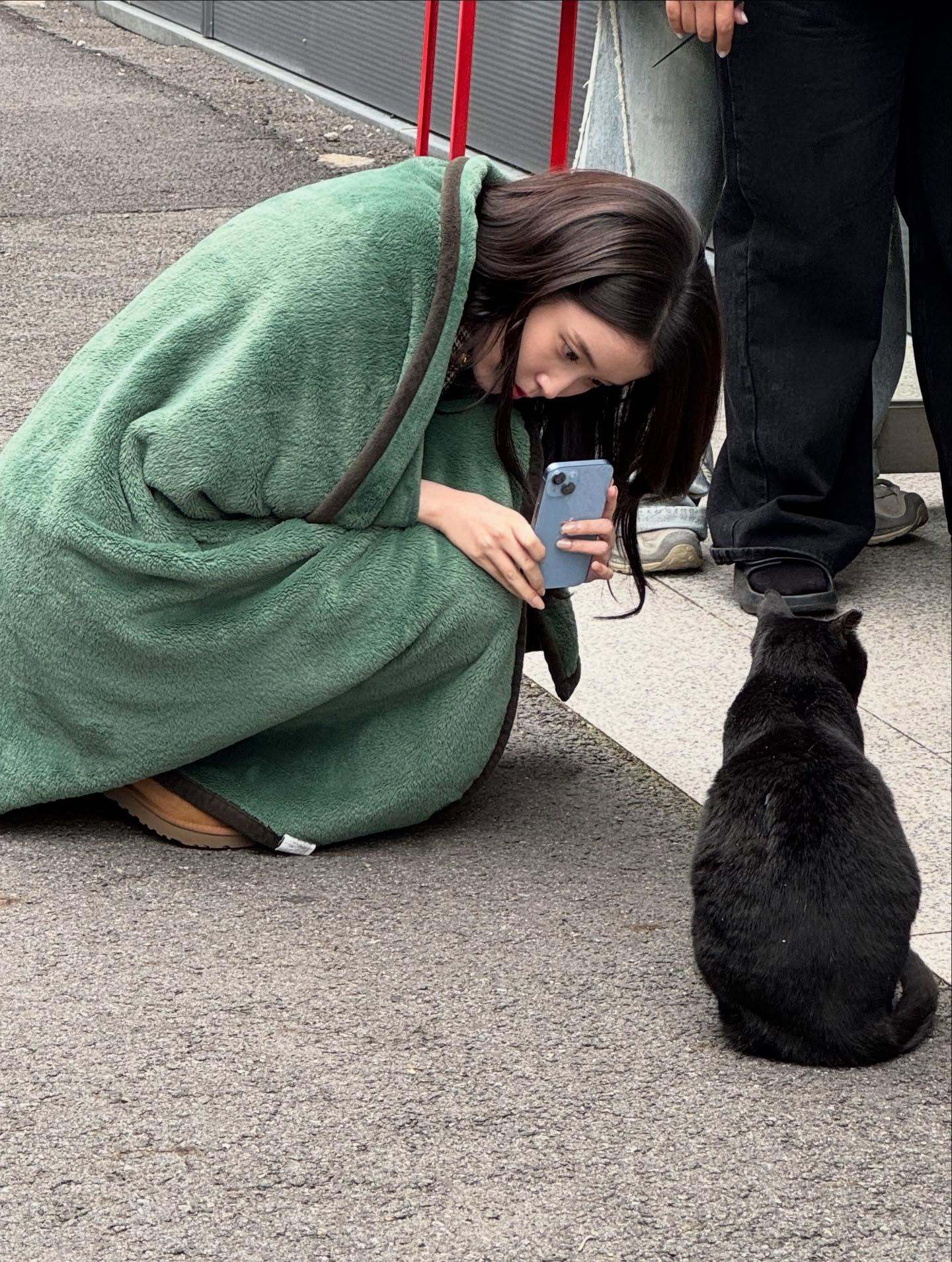 知恩拍猫猫🐈⬛ 