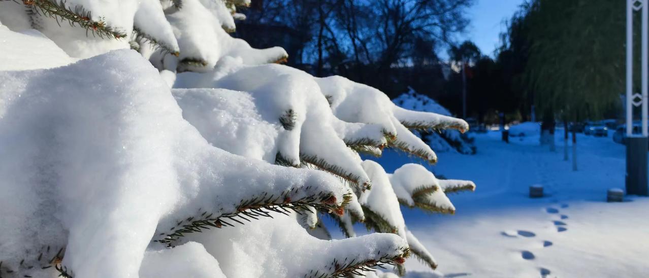 哈尔滨今天室外又是一片茫茫白雪！


不知不觉的又引起了我想上海南去的冲动，看着