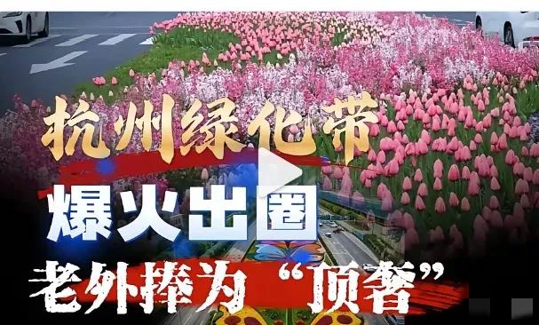 谁能想到随处可见的城市绿化带，在海外社交平台直接火出圈，不少外国网友直言这是城市
