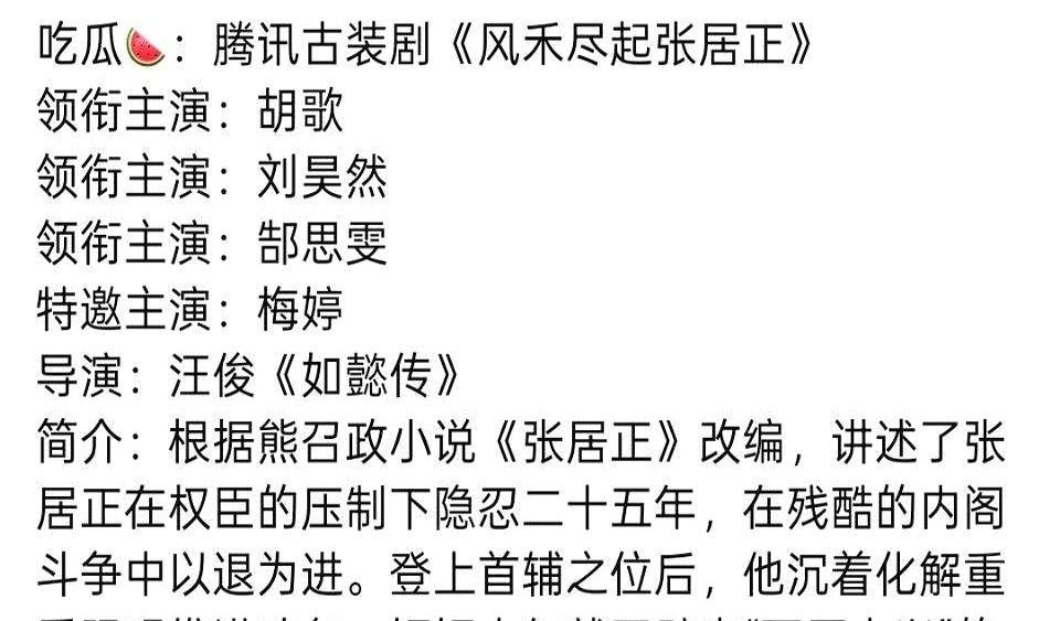 🍉《风禾尽起张居正》胡歌，刘昊然

这部剧是新丽今年砸3亿的S+古装剧，配置真