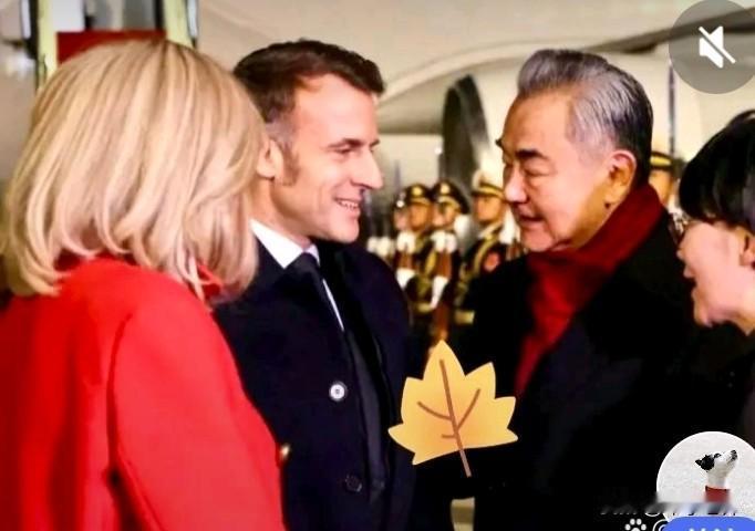 马克龙访华刷屏全球！
中法领导人相谈甚欢，笑容满面。全程氛围热烈，用实际行动彰显