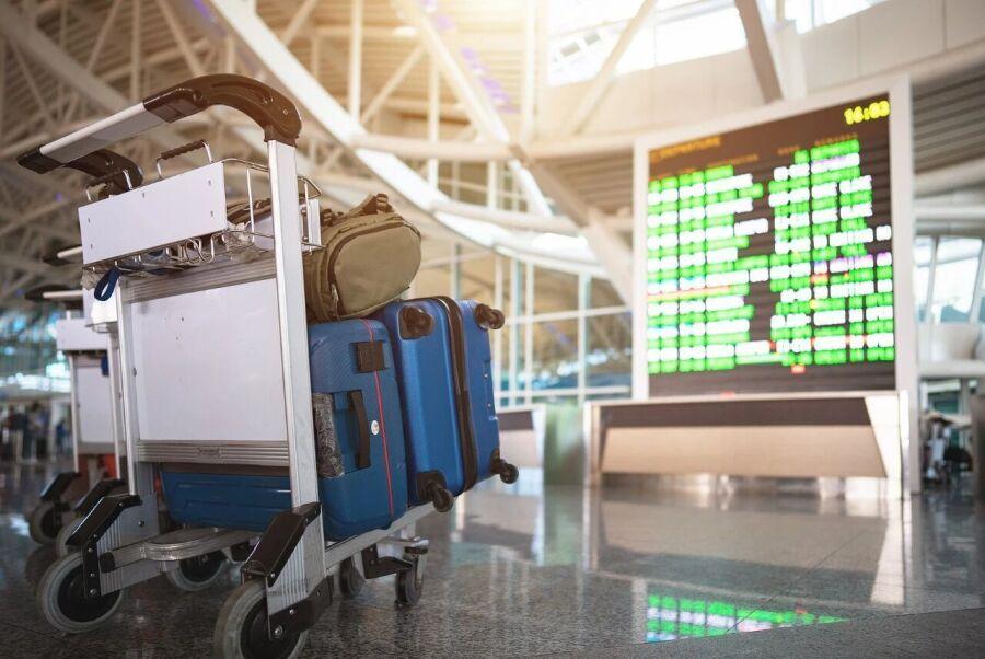 寒假到啦，安全问题可不能掉以轻心，这份指南可得收好！
出行时，如果选择自驾，一定