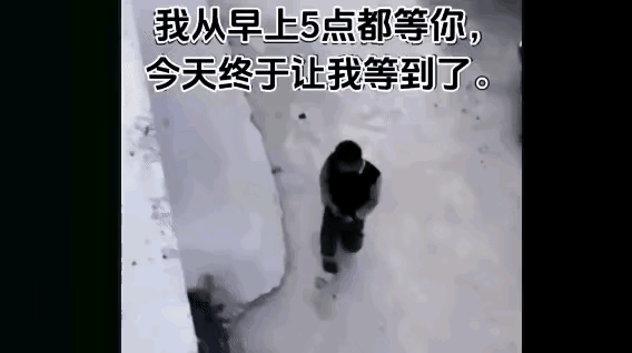 《真好笑！》
楼下墙角温骚烂臭，有人经常在此偷偷小便。非常气愤，就是逮不住人。早