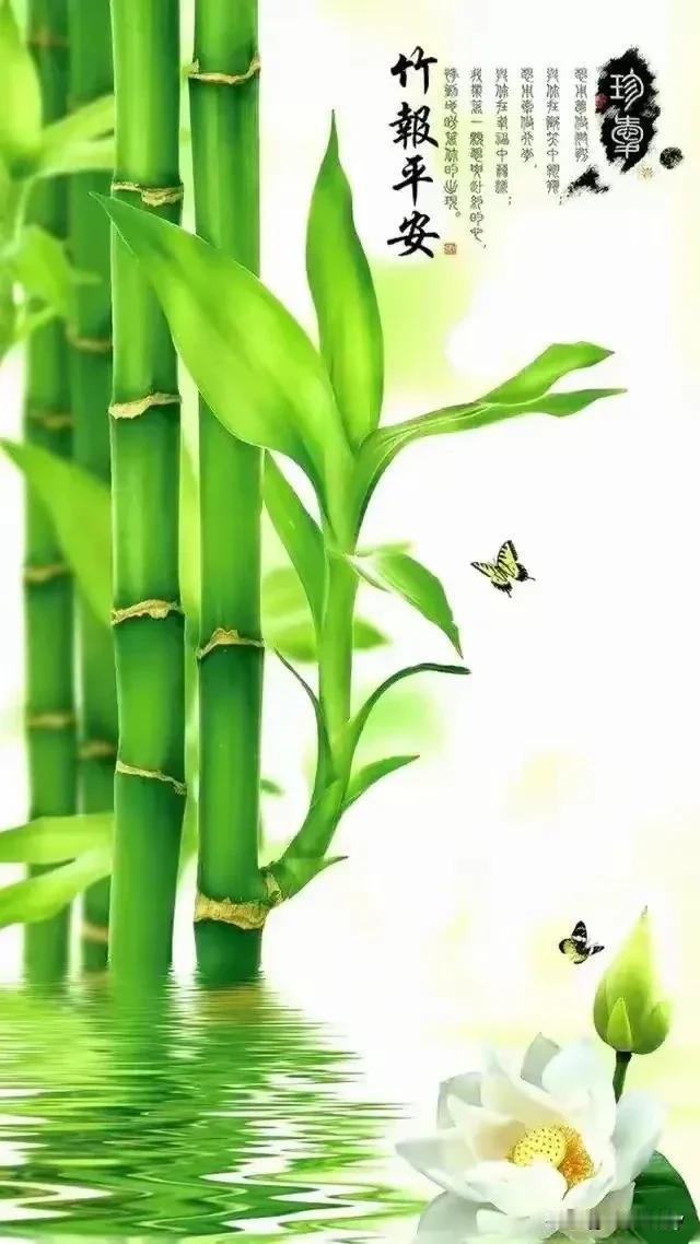 花开富贵家家乐
竹报平安岁岁新


[福][烟花][福][烟花][福][烟花][