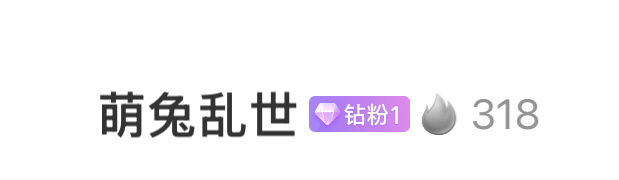 我的钻粉爸爸
