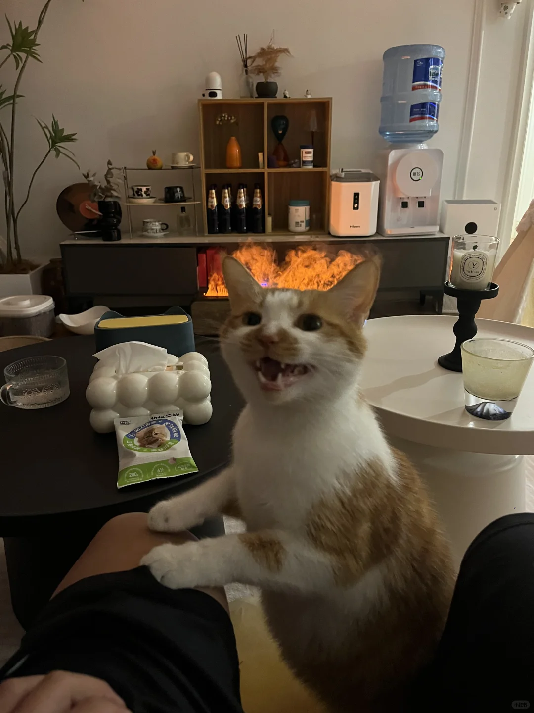 怀民能吃我为什么不能吃