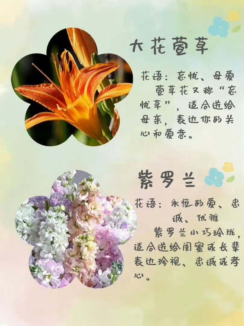 花是非常能够表达心意的浪漫方式，逛花展看花，可以先了解每一张花的花语.花展最全打