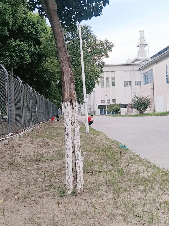 晒图笔记大赛