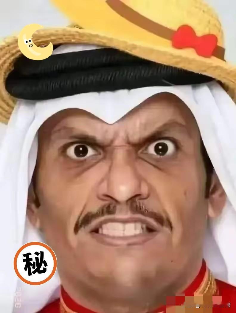卡塔尔传出新消息
当地时间5月17日，卡塔尔首相穆罕默德和伊朗外长阿拉格齐通了个
