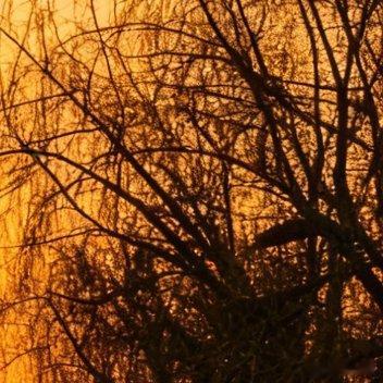 镜头定格过晚霞与夕阳，今夜，让睡眠给疲惫的眼睛放个假。晚安好梦