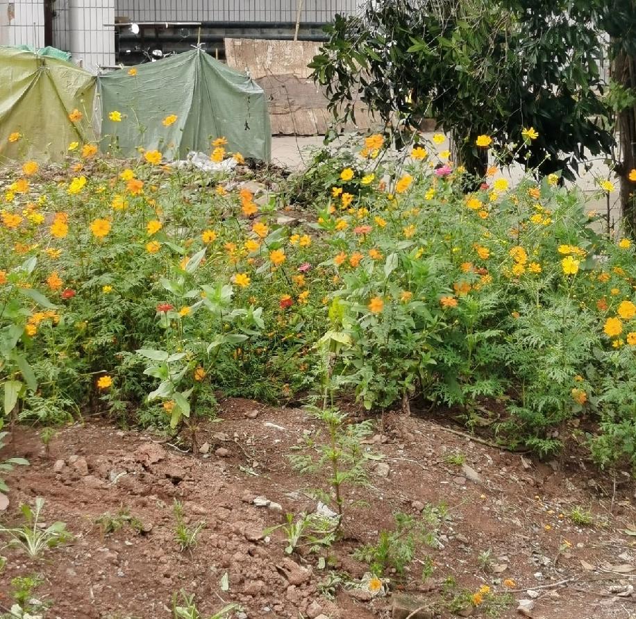 弟弟的女朋友还没订婚，就一直住在我家，心里真的特别别扭，连自己的隐私空间都没了。