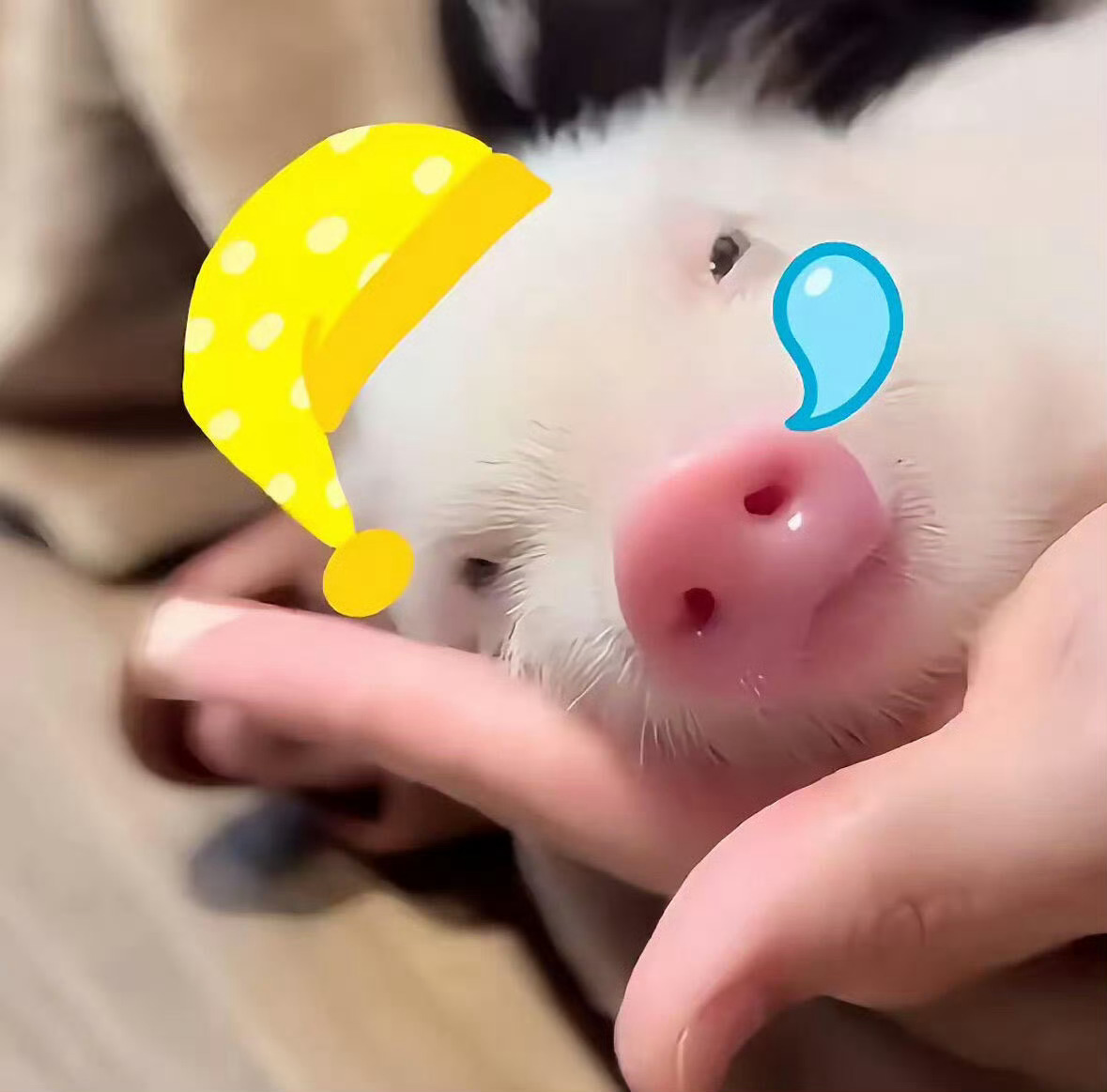 就这样 