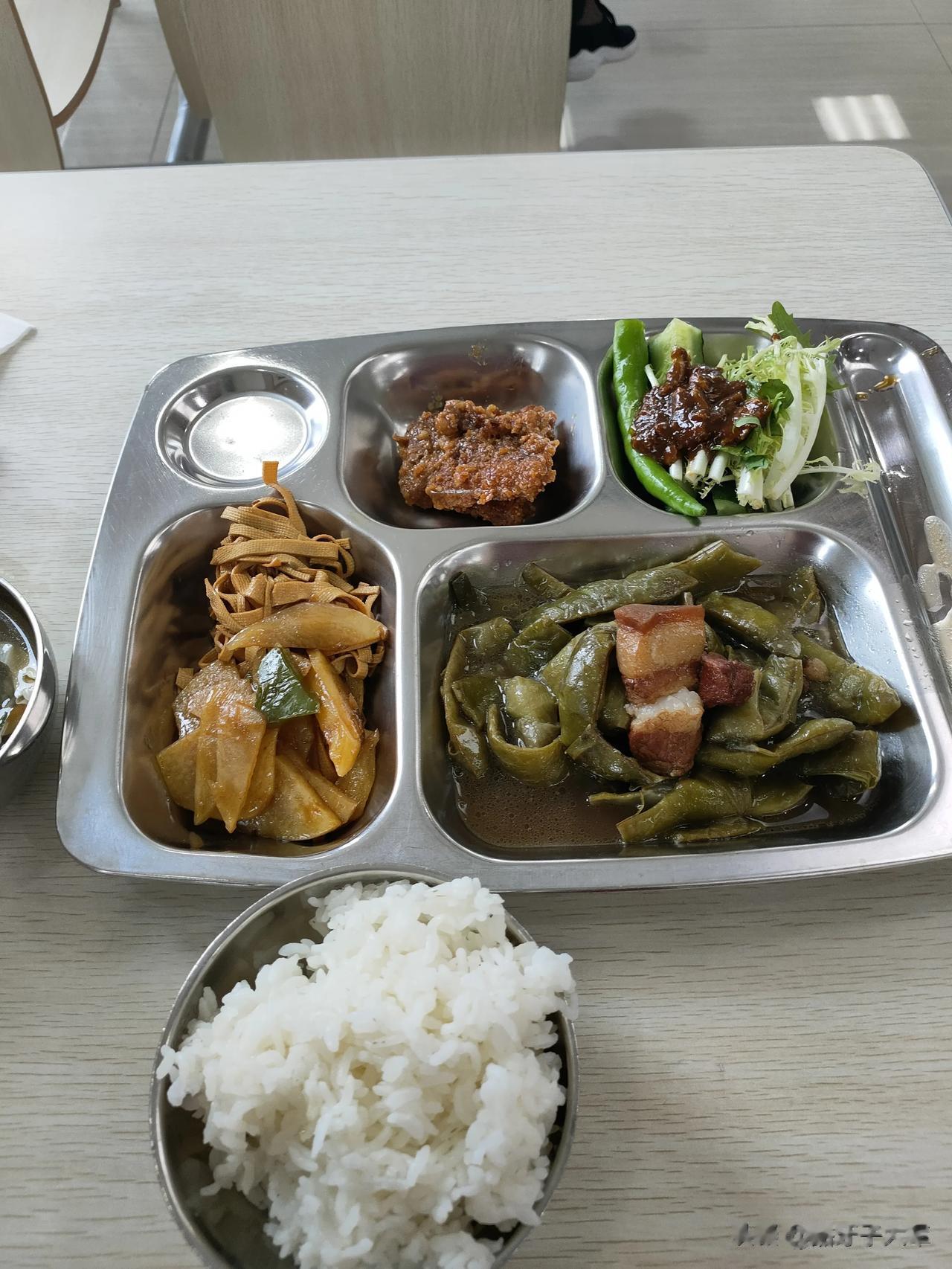 沈阳大公司食堂，红烧肉炖豆角，蘸酱菜，老汤干豆腐，青椒土豆片，素烩汤，西瓜嘉年华