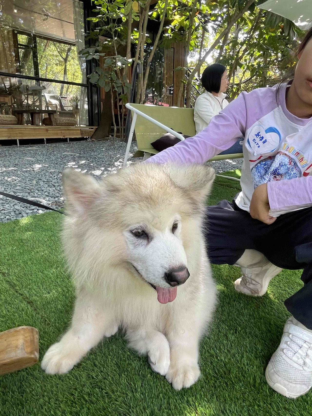 让我重新选择，
绝不结婚生孩子！