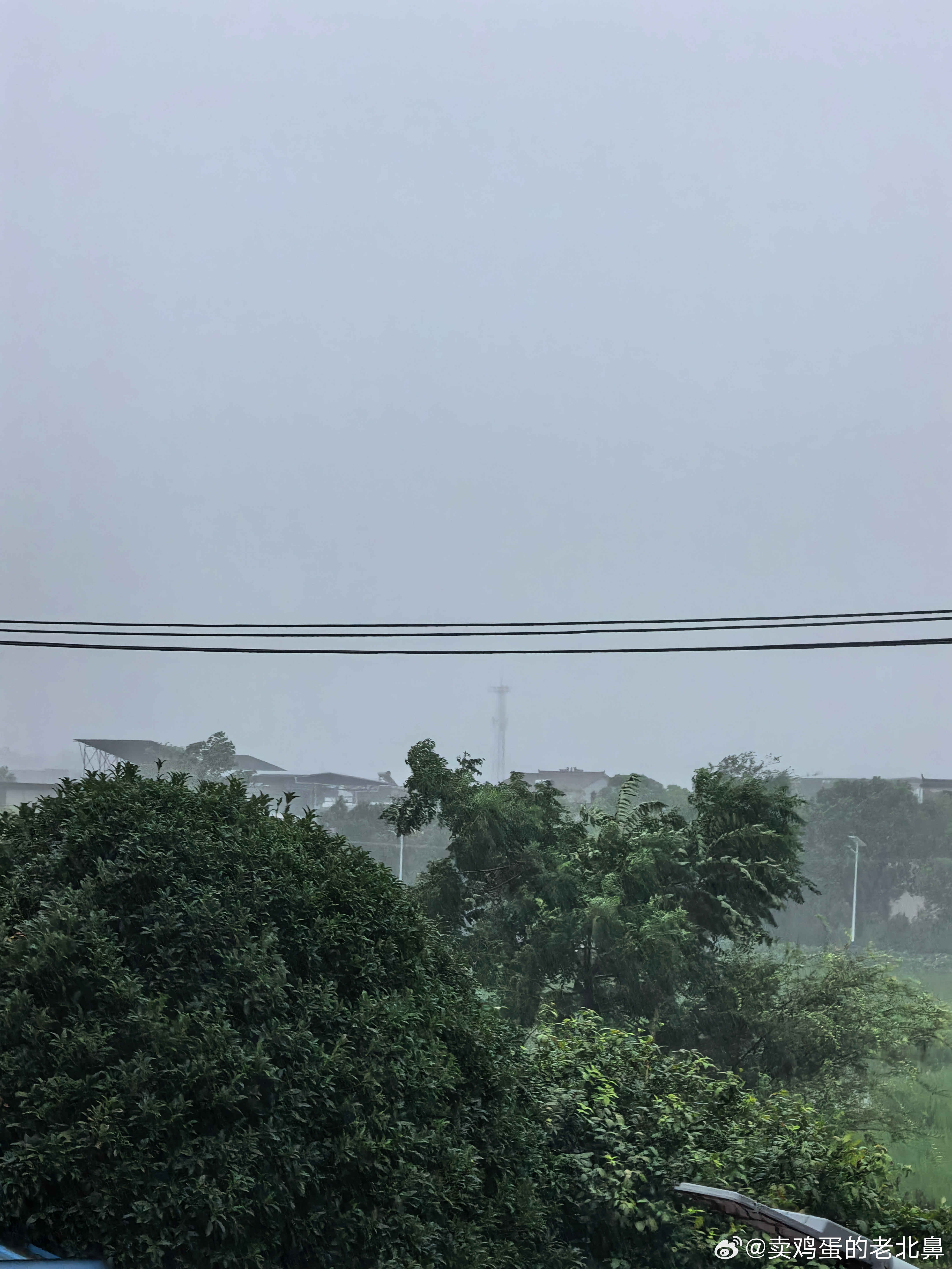 今天有多少地方是划船上班的。就我们这儿都感受到了台风白海豚的威力。大家一定一定要