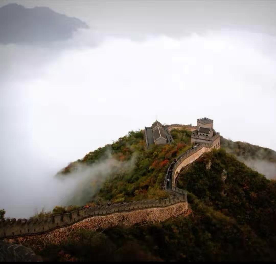 有人问我：怎么才算对自己好？
我说：就是对自己的生活认真，衣食住行，特别是“食”