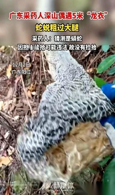 五米多长的一条蛇蜕，就那么完整地摊在我脚底下。
我跟你讲，当时心跳都停了半拍。