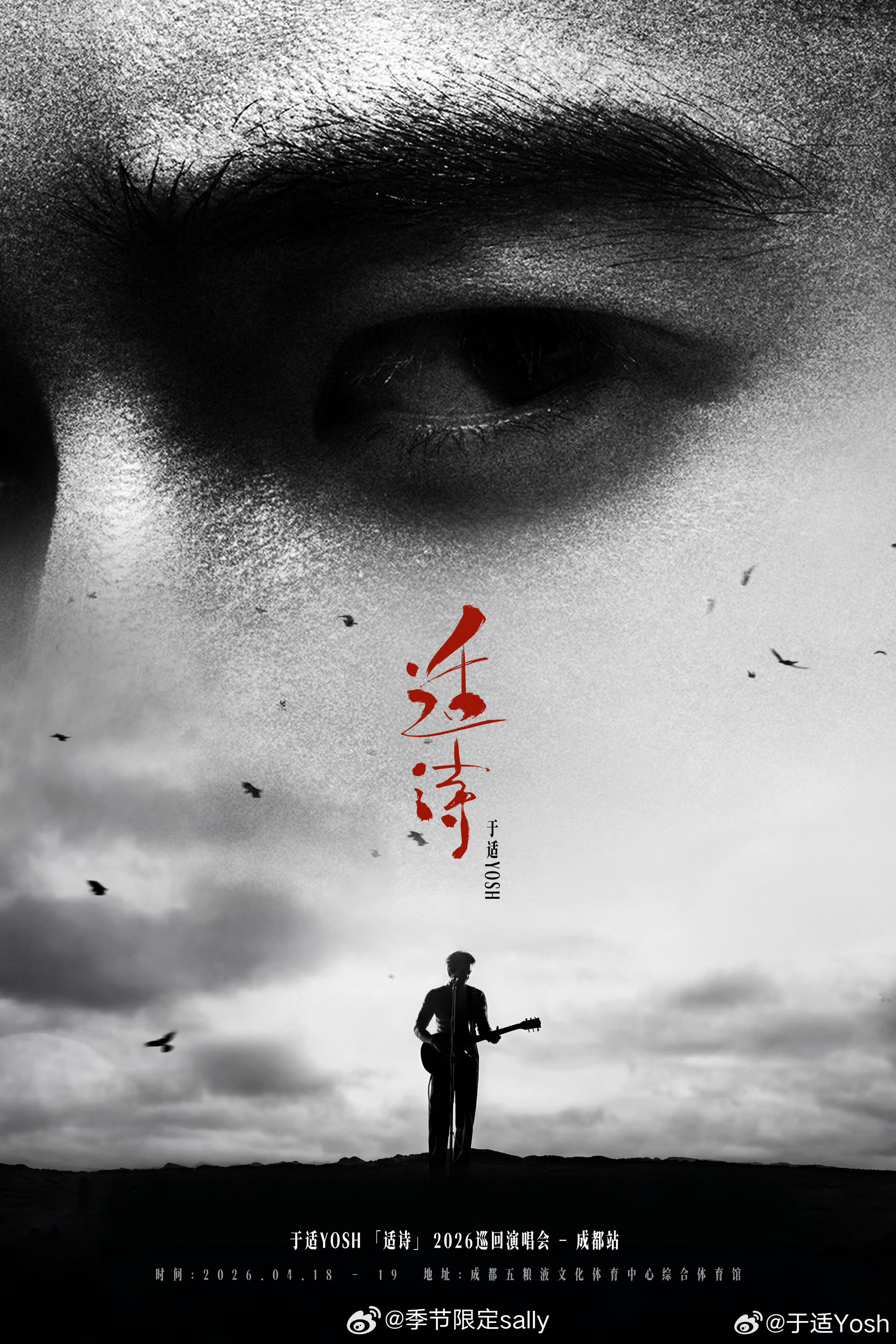 于适2026成都演唱会官宣 