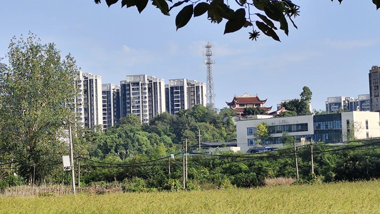 秋日生活打卡季随手拍乡村风景分享一张自然风景的照片，