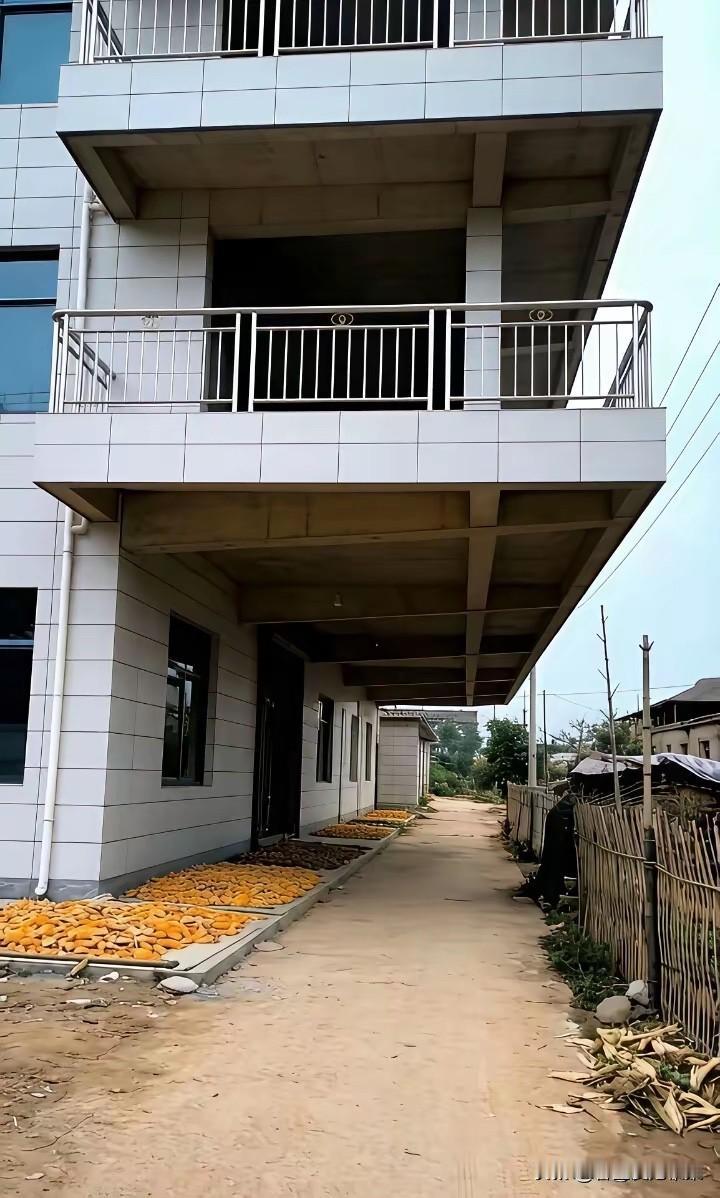 不得不说，主人家真聪明，地方不够大，向天借地几十平方！