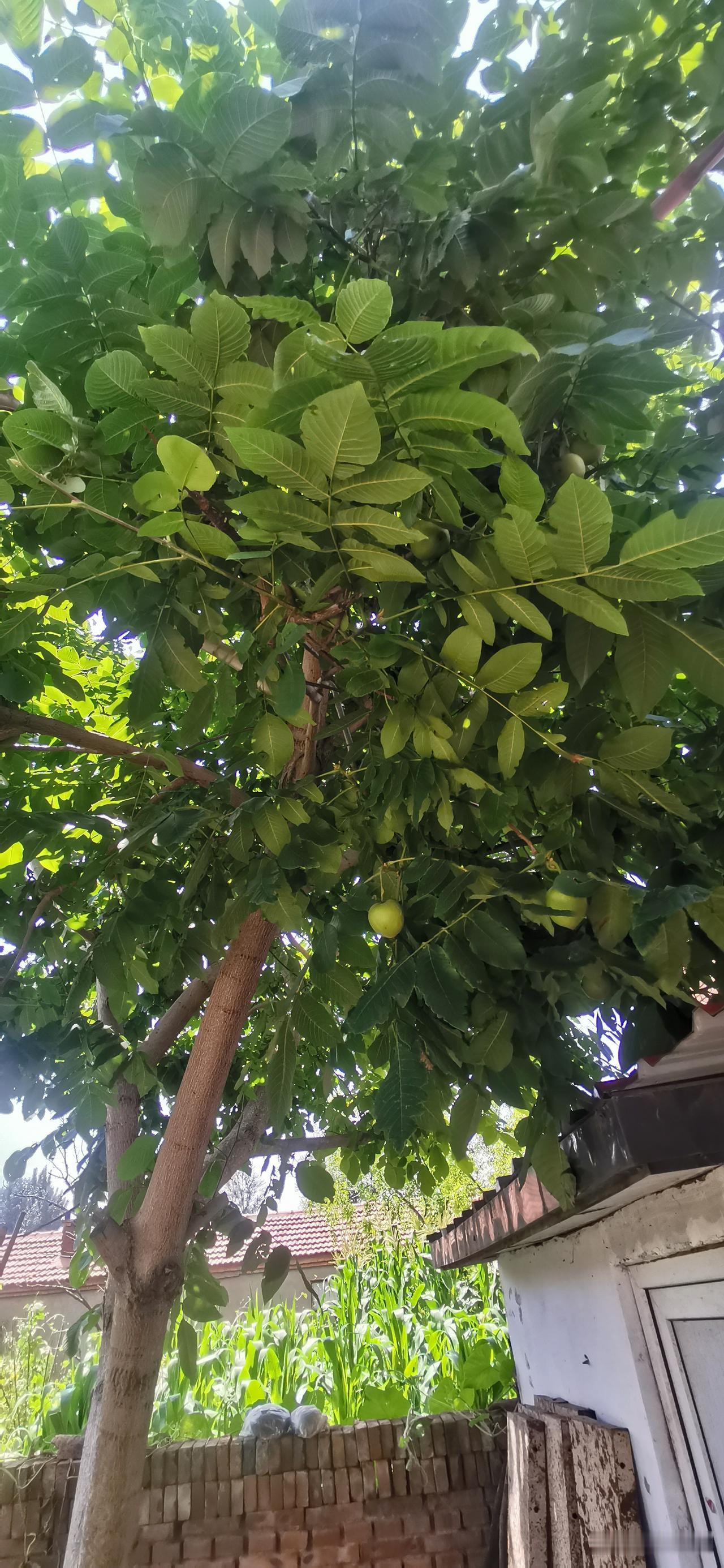 人生最大的财富，便是手中有限的岁月。时光悄然向前，不会为遗憾驻足。别等容颜老去，