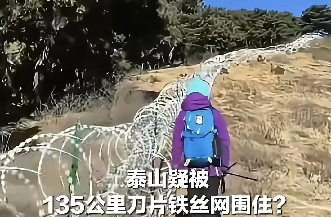 泰山的“铁衣”脱下了，但某些人脑子里的“铁幕”该由谁来拆？135公里刀片刺网即将