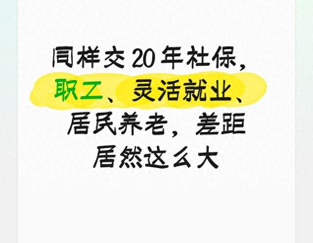 同样交 20 年社保，职工、灵活就业、居民养老，差距居然这么大