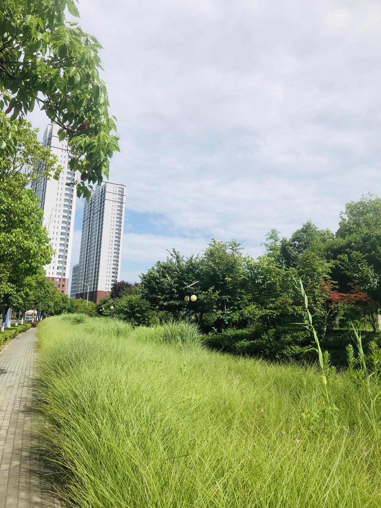 我的今日状态：😁轻松愉快
我这里的天气：☀️晴天
常州今天晴天，气温27到34