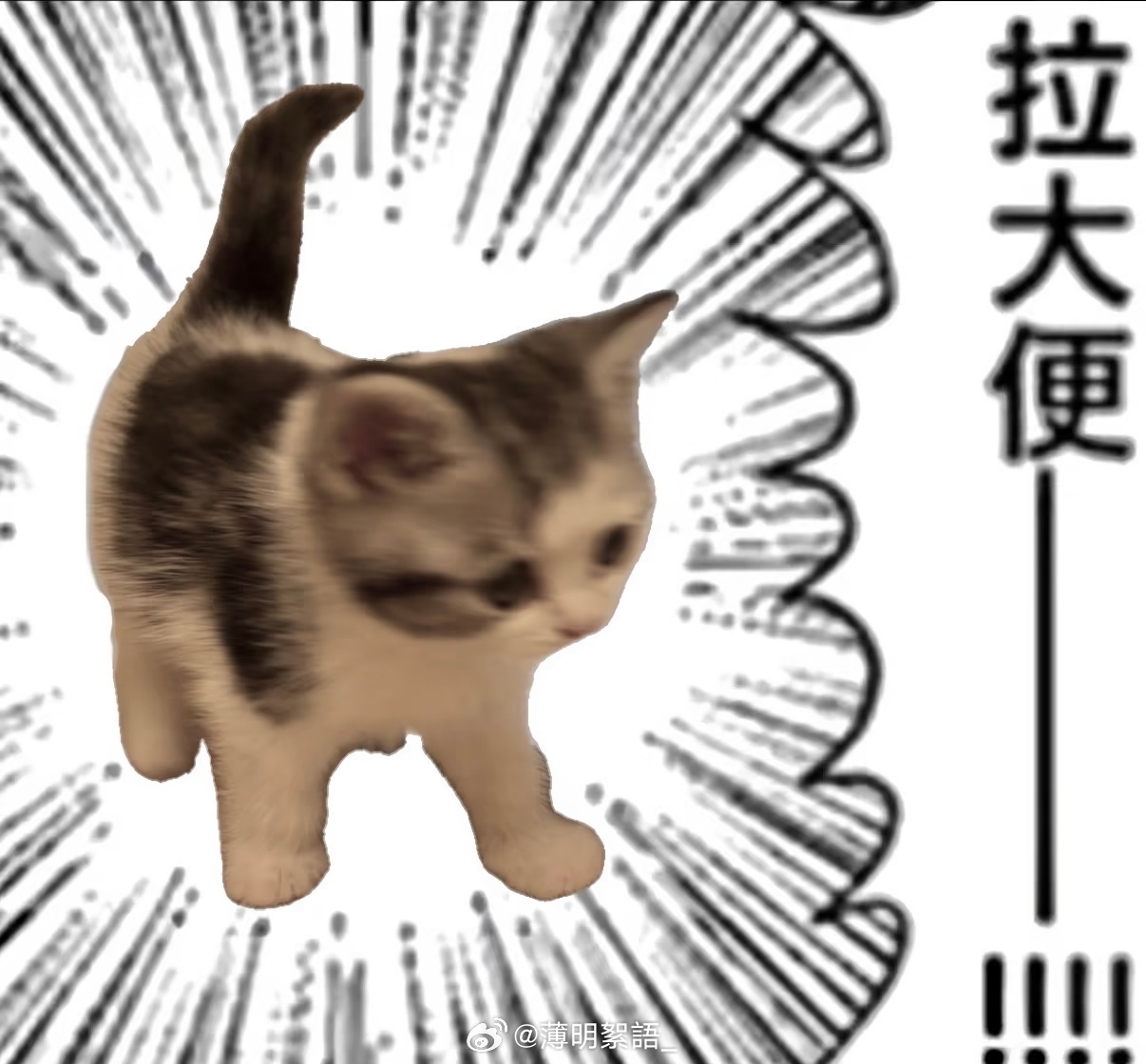 （说了一些震撼文案，大家看完之后纷纷互🕳） 