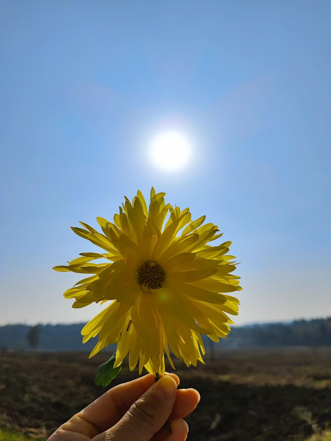 冬日生活打卡季冬日暖阳不刺眼但可以暖身！