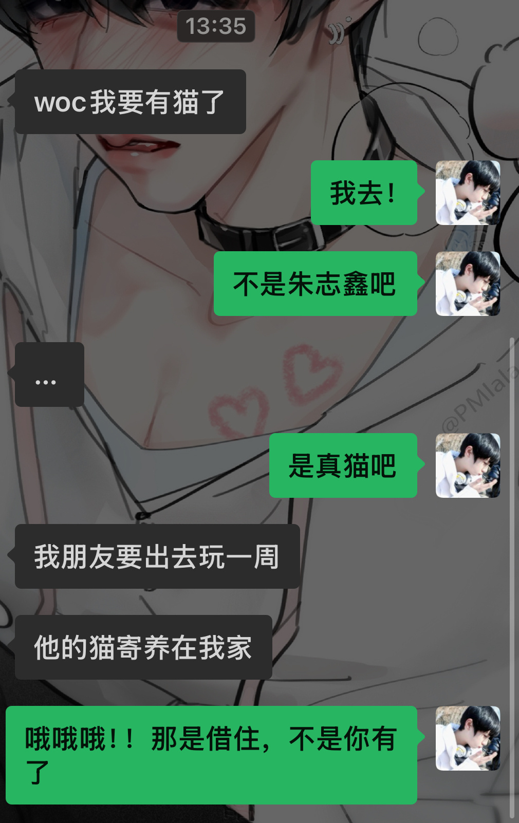 提到猫，我的脑子全是朱志鑫 