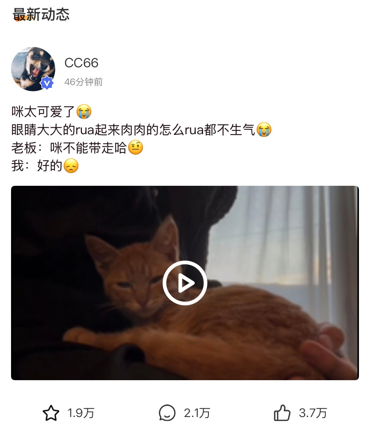 马哥文案还可以更可爱一点吗… 