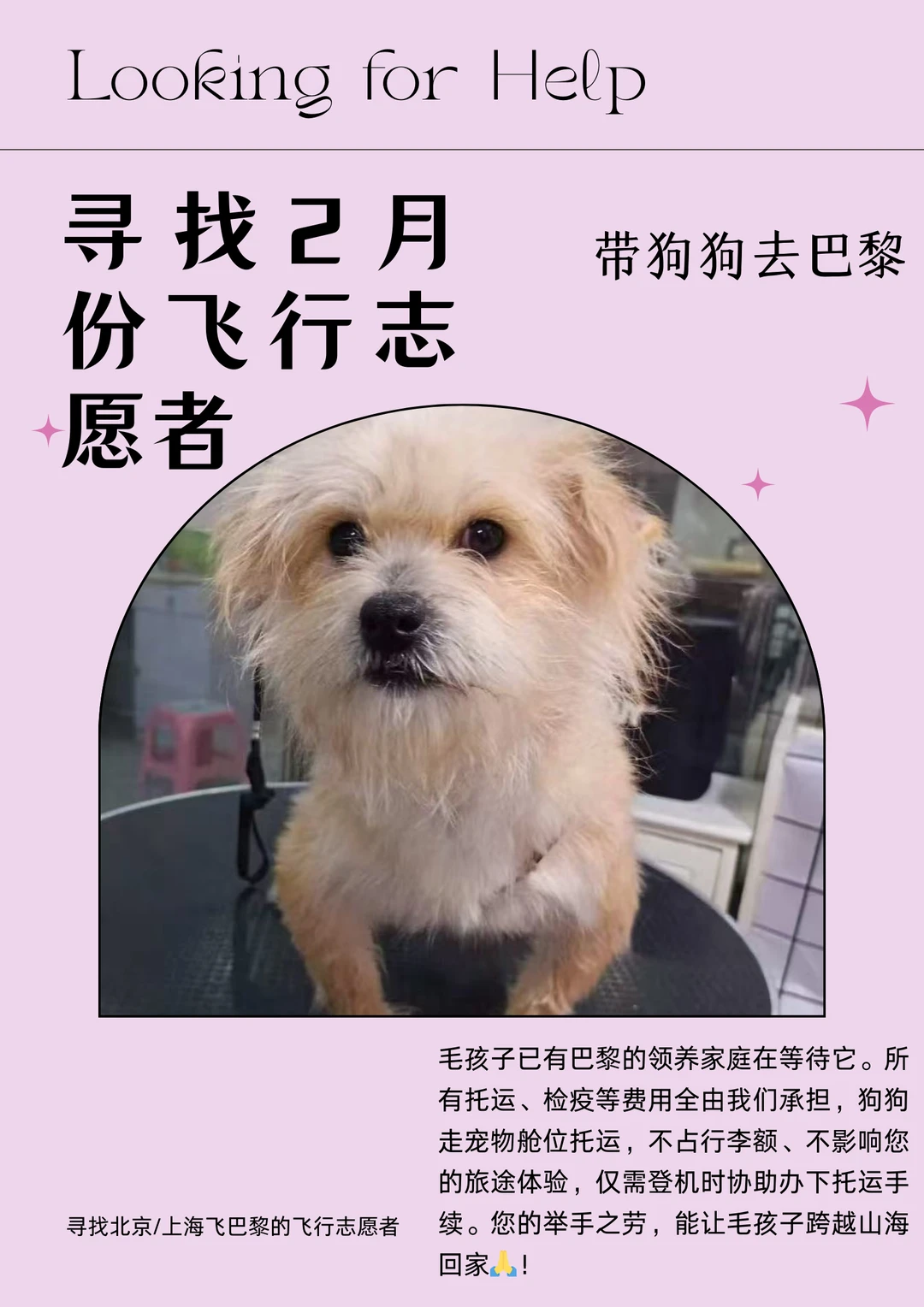 紧急求助🇫🇷巴黎的志愿者