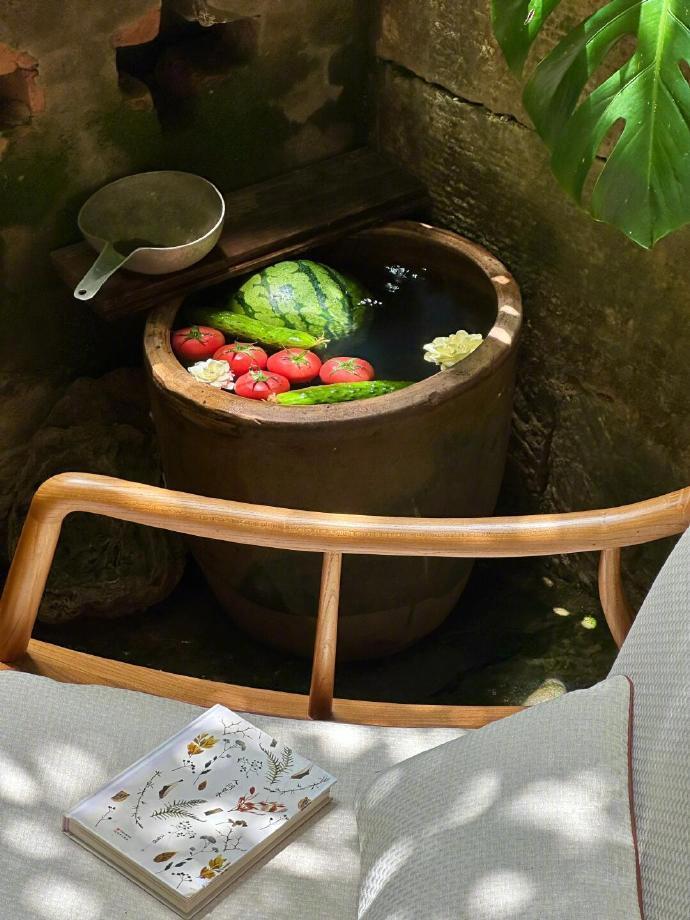 老宅里的梦核夏天 
