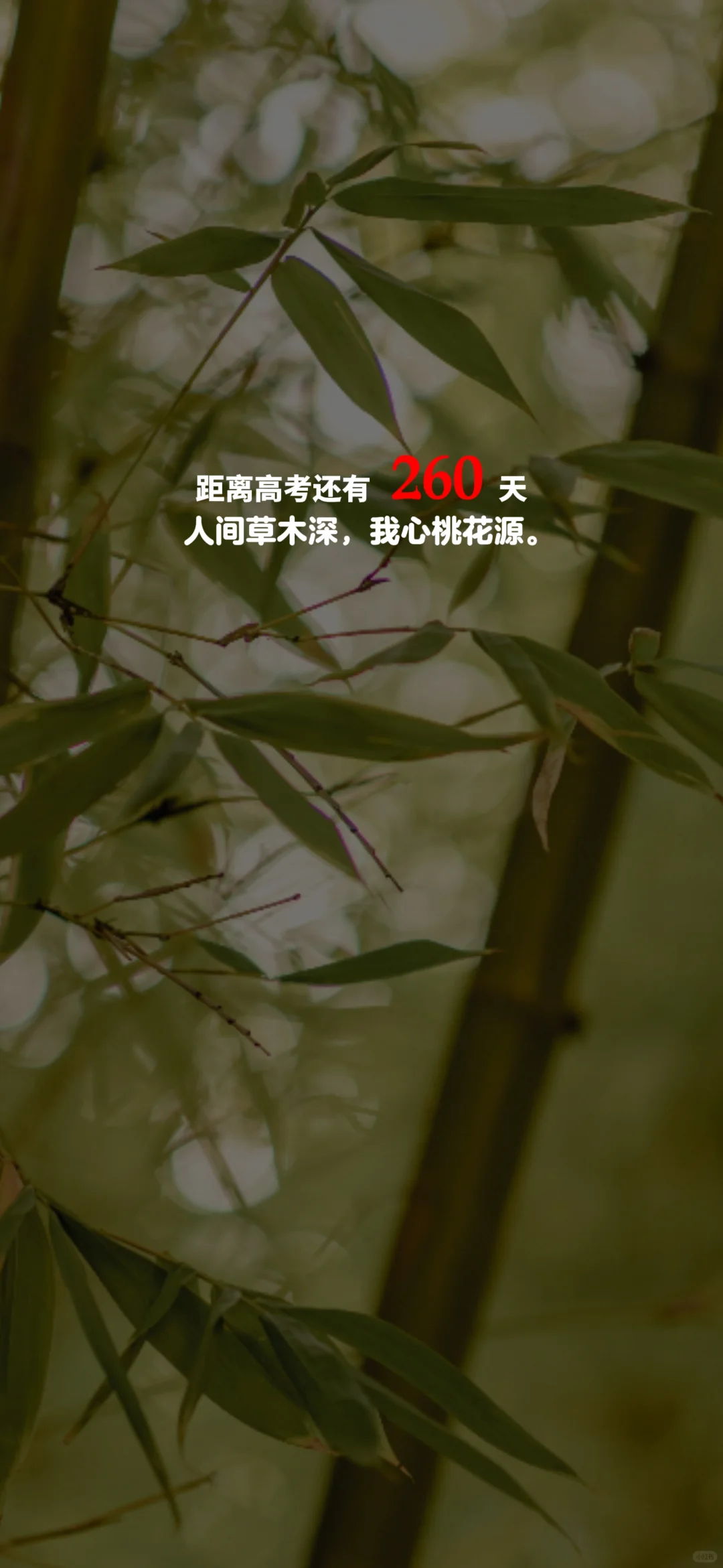 2025高考倒计时，每日更新。