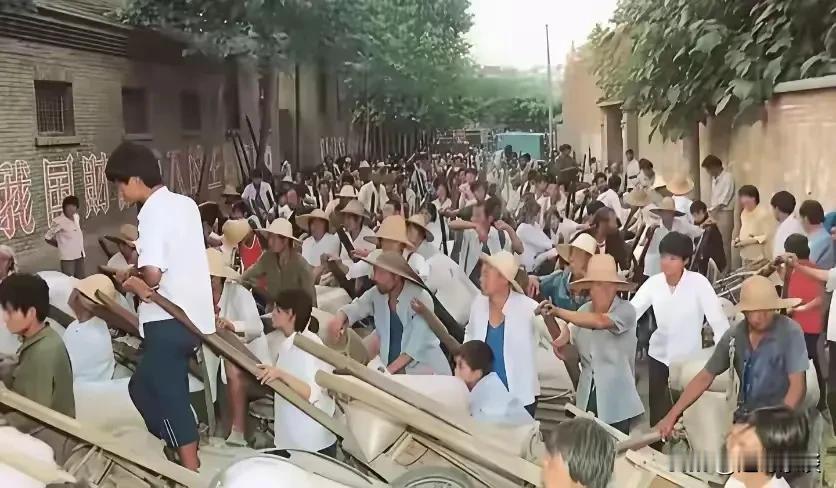 老照片之交公粮
