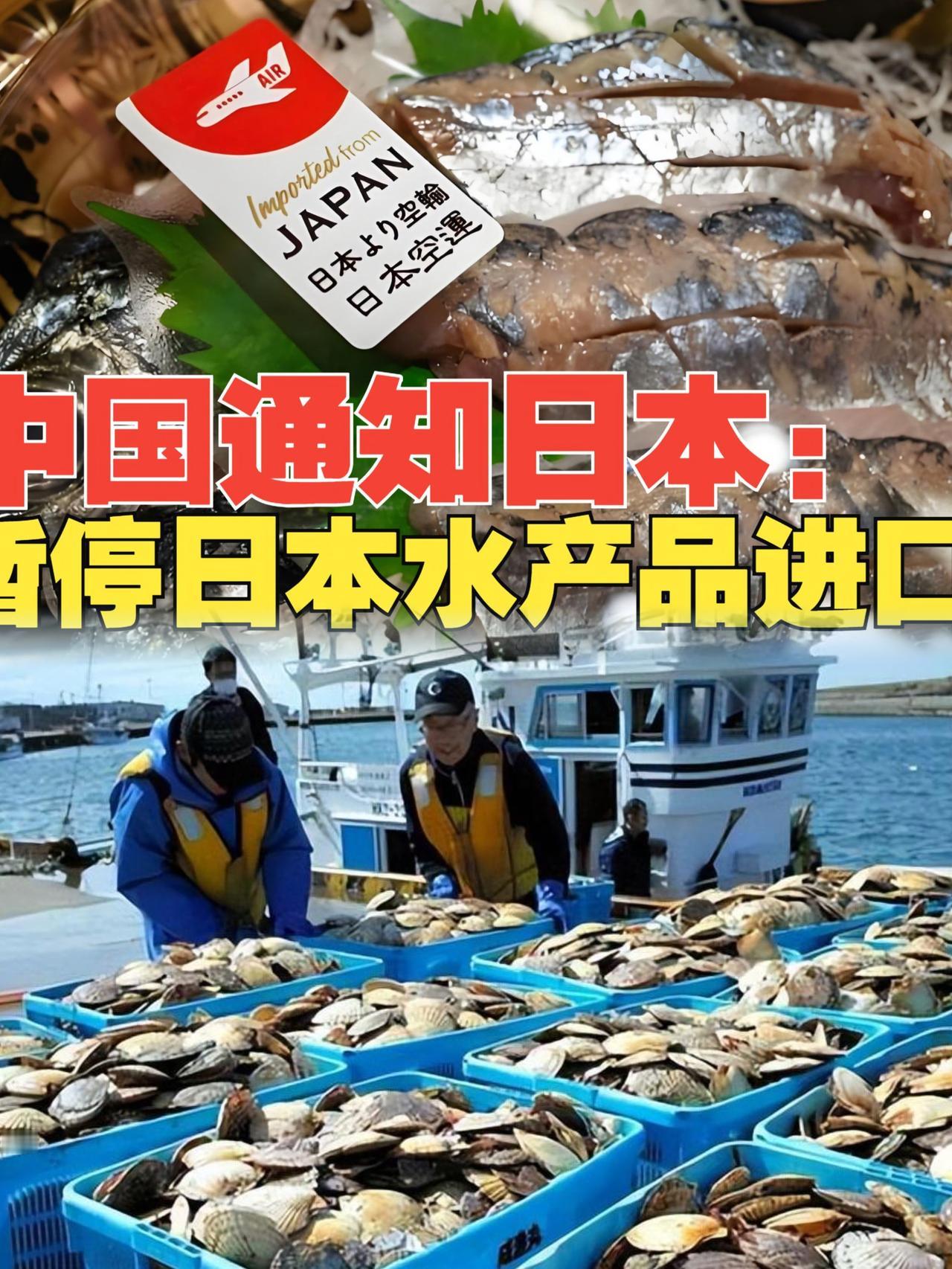 我刚给卖海鲜的朋友打了个电话，问他东方大国暂停日本水产品进口，他们那边生意受影响