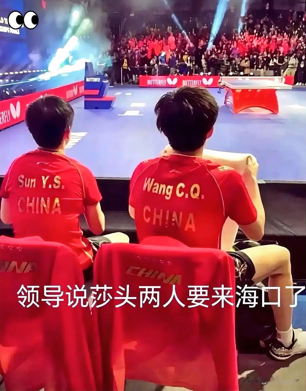 🔥海口亚洲杯太懂球迷！
副市长一句话掀底牌
         购票服务器直接沸