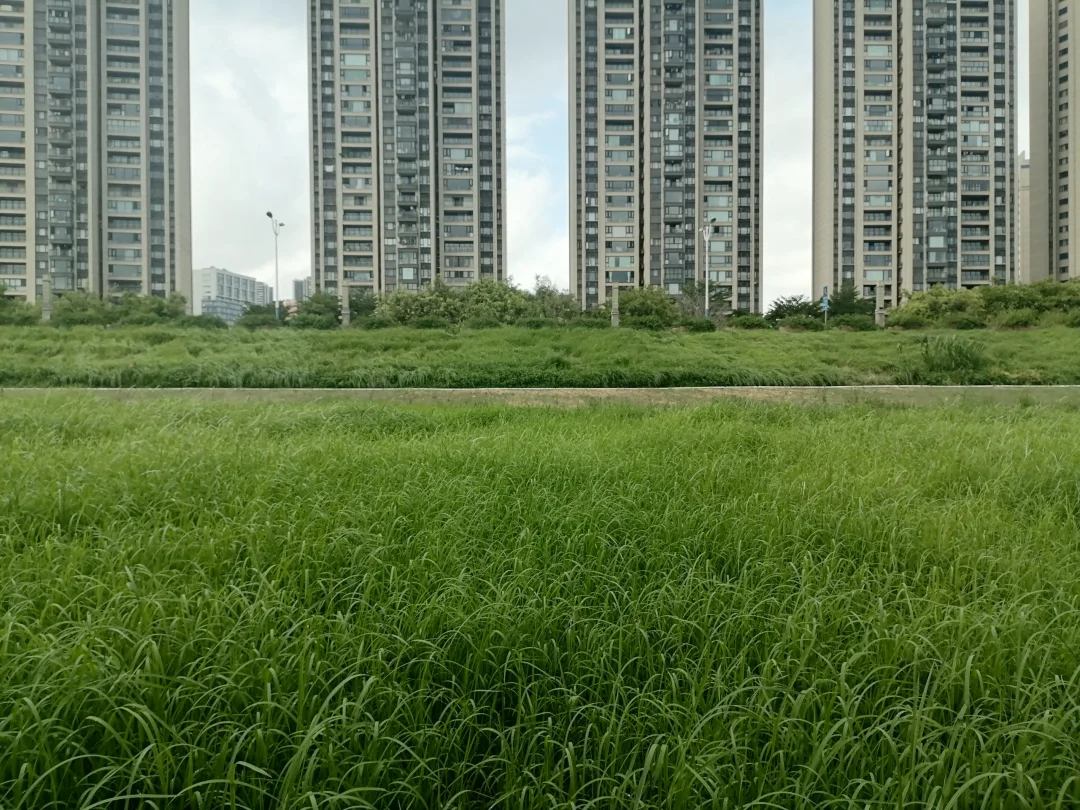 想用这个号做直播，就是口才不行