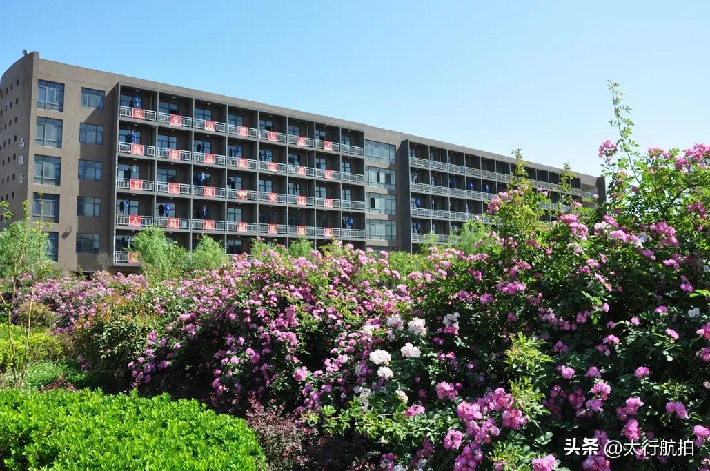 武安市职教中心：蝉联全省桂冠，铸就职教新辉煌

当荣耀的旗帜再次在燕赵大地高高飘
