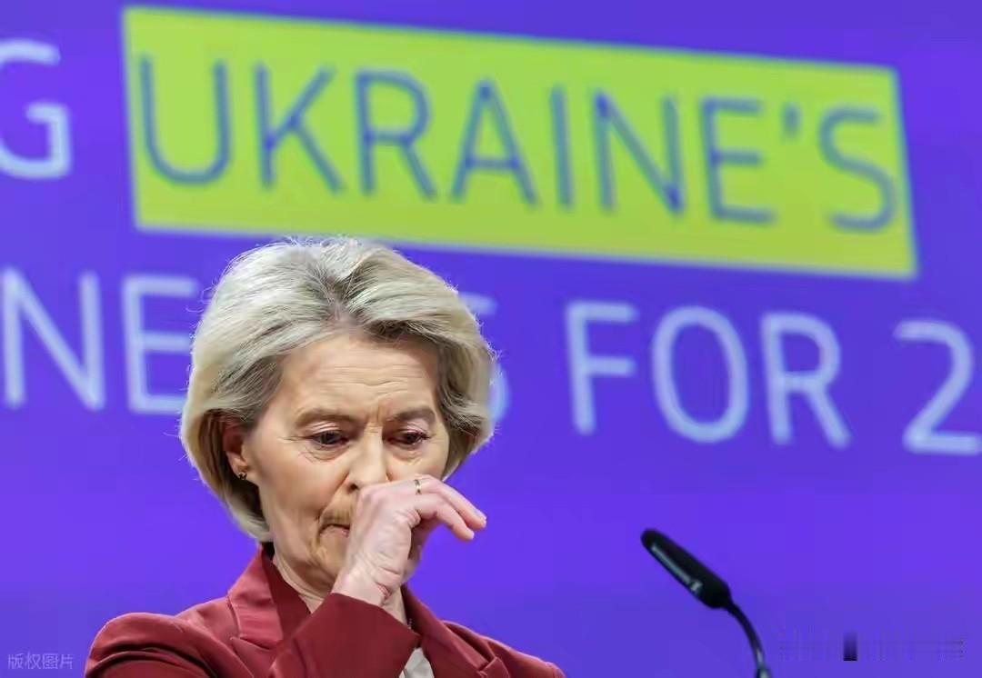 欧盟被中方拒后才醒悟：中国已不把他们放在眼里，中方一句话回怼：“合作可以，但必须