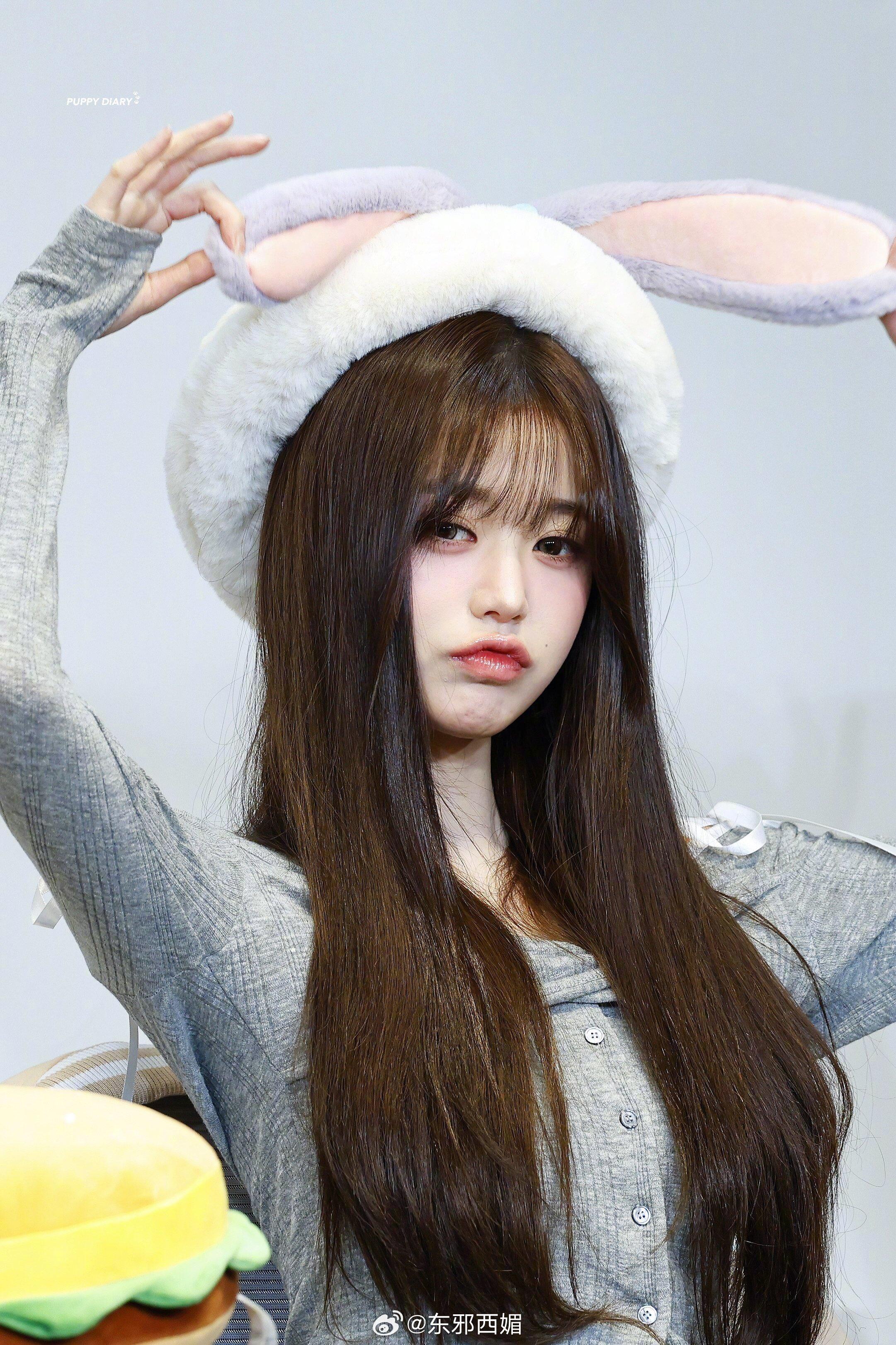 毛茸茸的小兔子元英